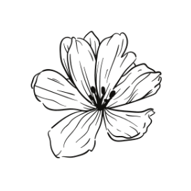 Danae Wolf, RN – Coaching